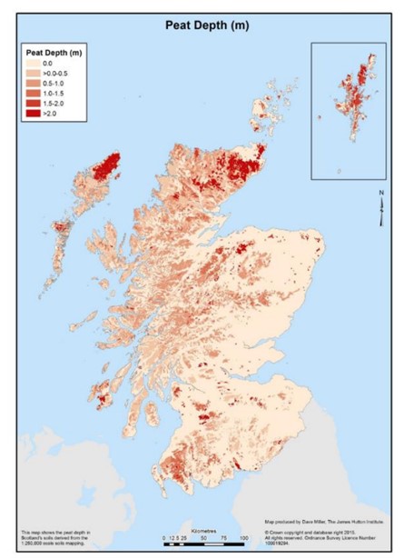 Peat depth